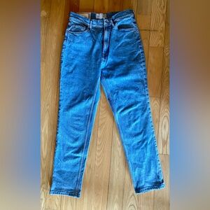 Everlane The Original Cheeky Jean Size 27 High Rise Straight Leg Denim NWT